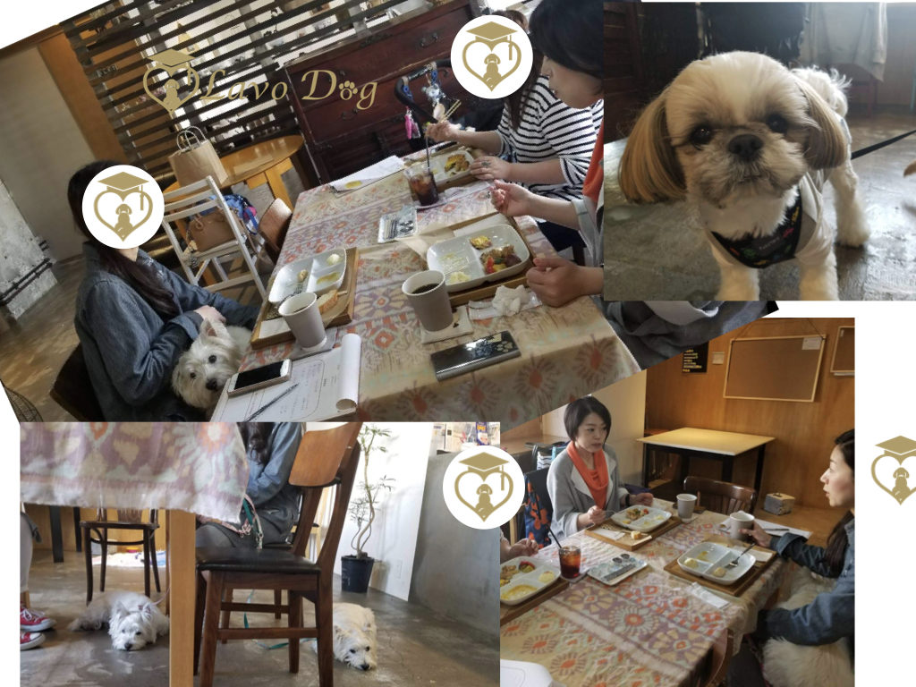 愛犬とランチ会 ゆるゆる犬活 Lunch 東川口 Lavo Dog