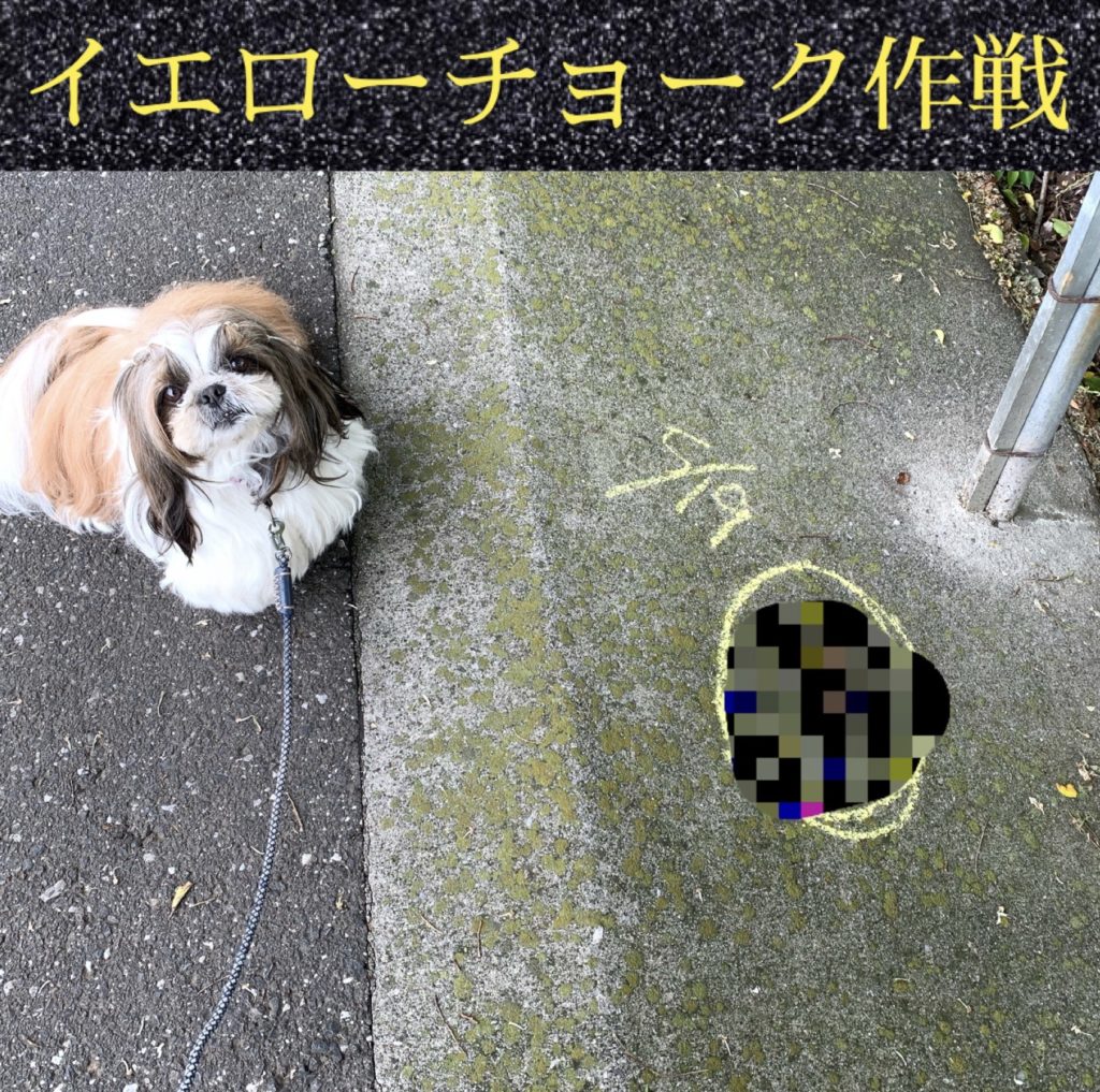 犬たちの落とし物 フン害対策 Lavo Dog